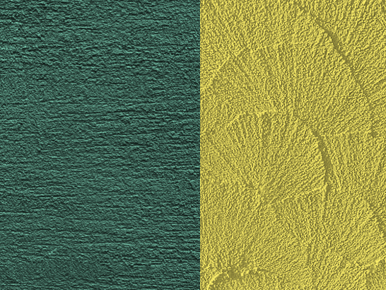 色あせしやすい外壁カラー【濃い緑と濃い黄色】
