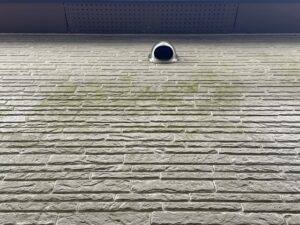 久留米市三瀦町のN様邸の外壁のコケや藻の発生