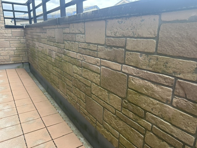 柳川市南浜武・O様邸の外壁のコケやカビの発生