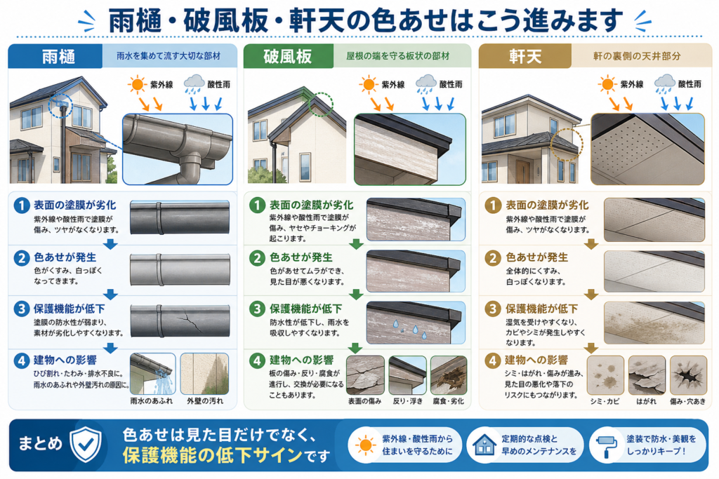 付帯部の劣化【雨樋・破風板・軒天】